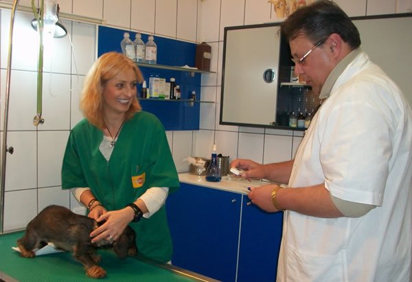 Trivetorex - cabinet veterinar