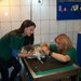 Trivetorex - cabinet veterinar